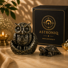 Vastu Pyrite Wealth & Wisdom Combo