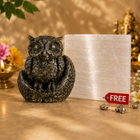 Pyrite Owl with Free Square Selenite Plate
