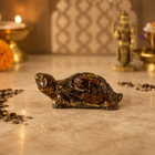 Vastu Tiger Eye Tortoise (Kachhua)