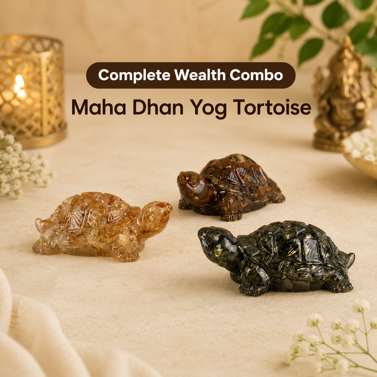 Maha Dhan Yog Tortoise Combo