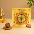 7 Mukhi Rudraksha with FREE Shree Yantra (6*6 inch)