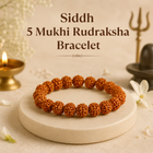 Kashi Siddh Nepal Origin 5 Mukhi Rudraksha - 17mm to 22mm