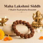 Maha Lakshmi Siddh 7 Mukhi Rudraksha Bracelet